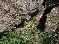 otta di Serra Pizzuta-20100602 146